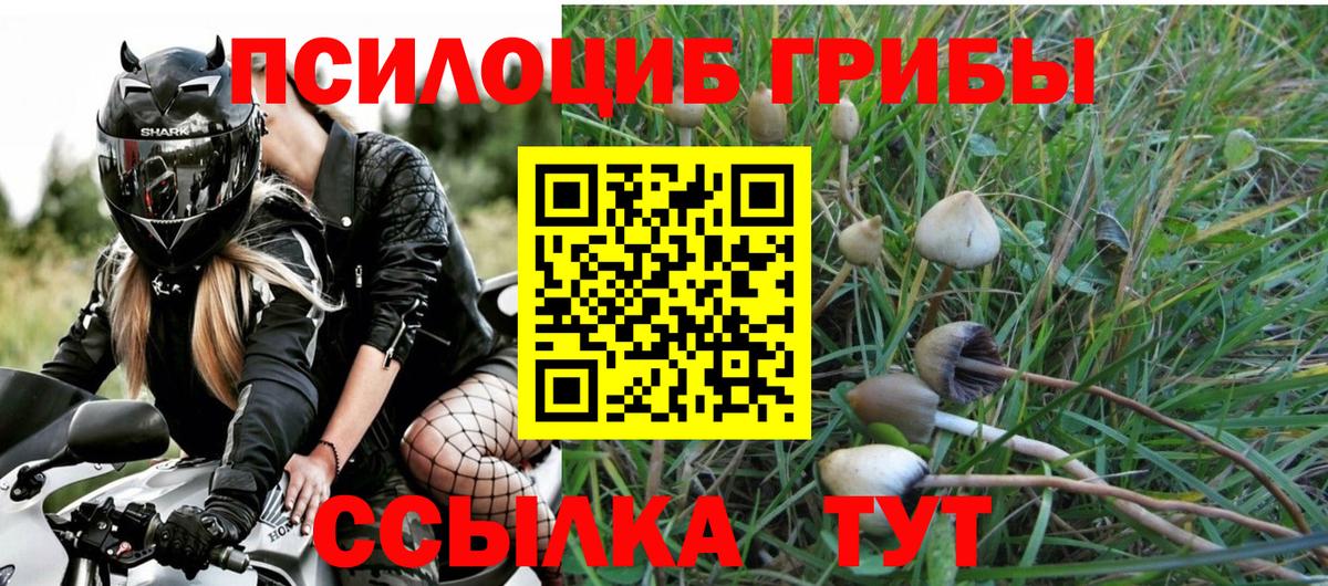 Томск  Галлюциногенные грибы Magic Shrooms  Вход с VPN  Галлюциногенные грибы Psilocybe 