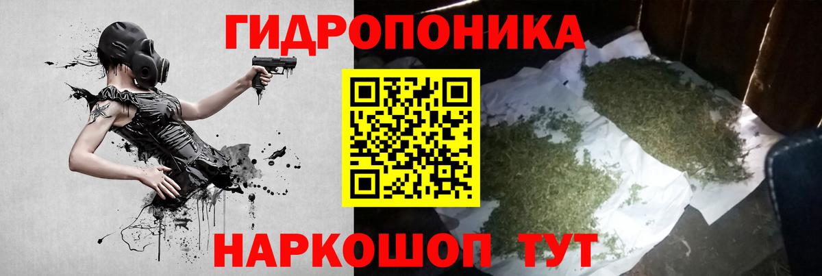 МАРИХУАНА план  Каннабис марихуана  МАРИХУАНА OG Kush  Томск  Вход с VPN 